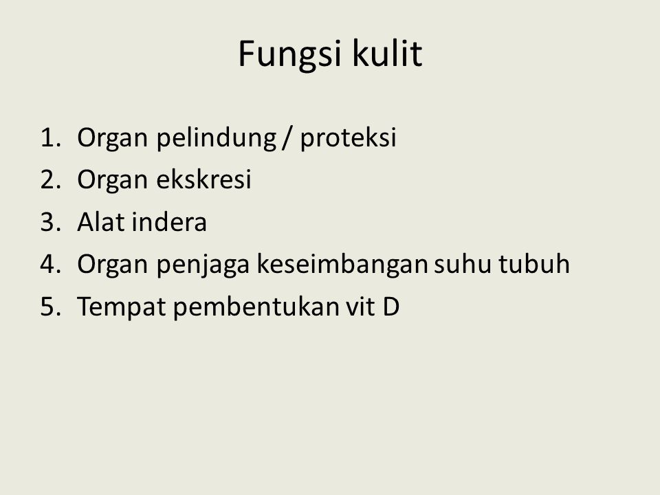 Fungsi kulit Organ pelindung / proteksi Organ ekskresi Alat indera