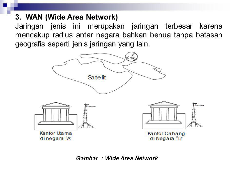 3. WAN (Wide Area Network)