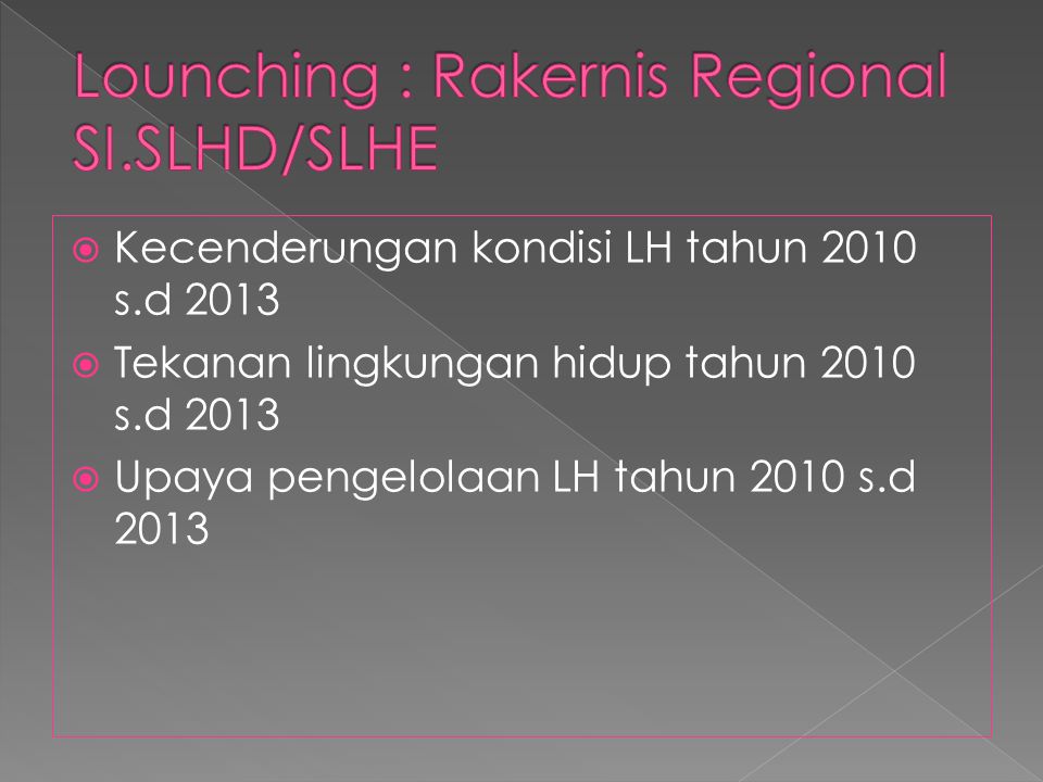 Lounching : Rakernis Regional SI.SLHD/SLHE