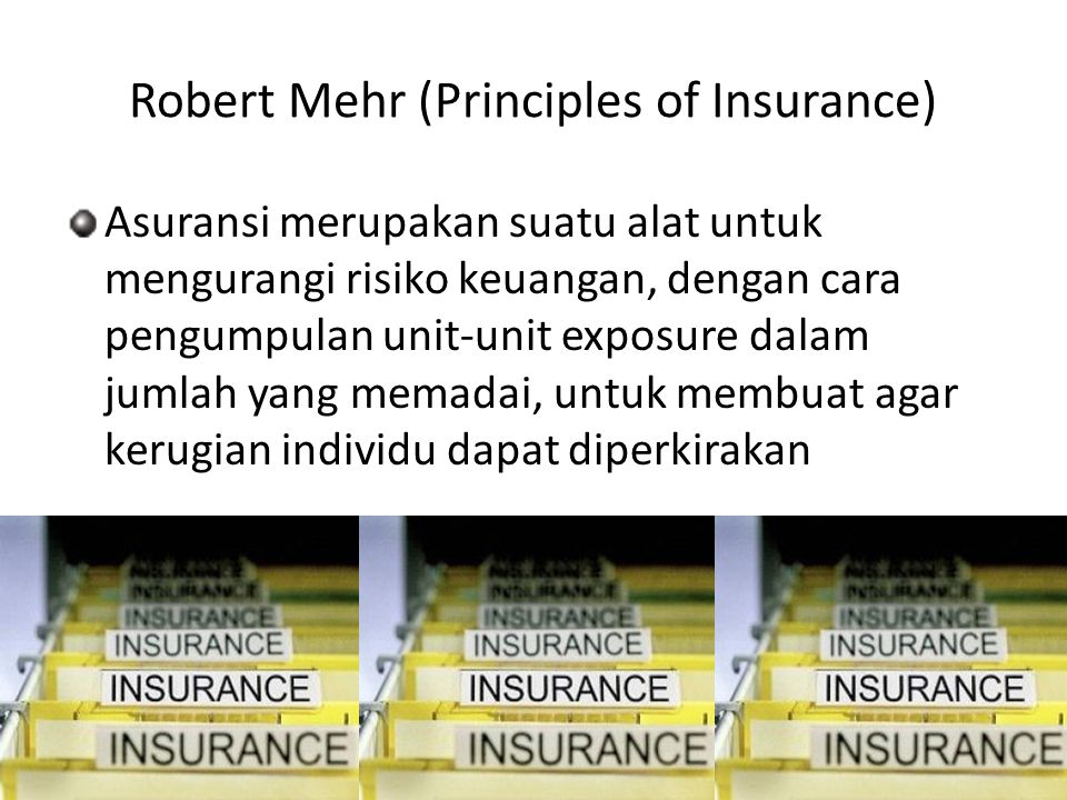 Robert Mehr (Principles of Insurance)