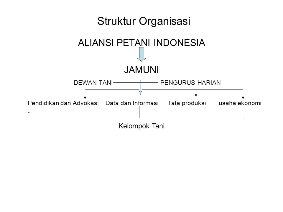 ALIANSI PETANI INDONESIA