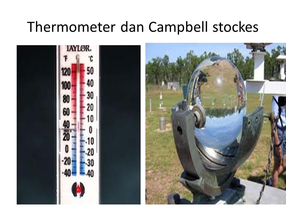Thermometer dan Campbell stockes