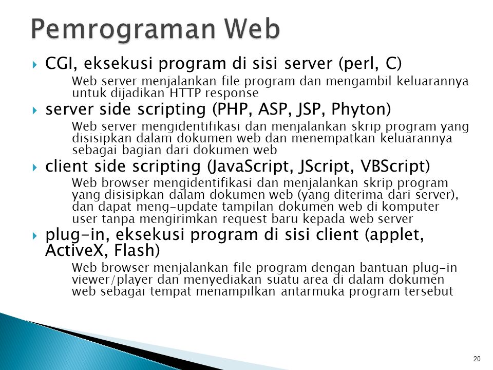Pemrograman Web CGI, eksekusi program di sisi server (perl, C)