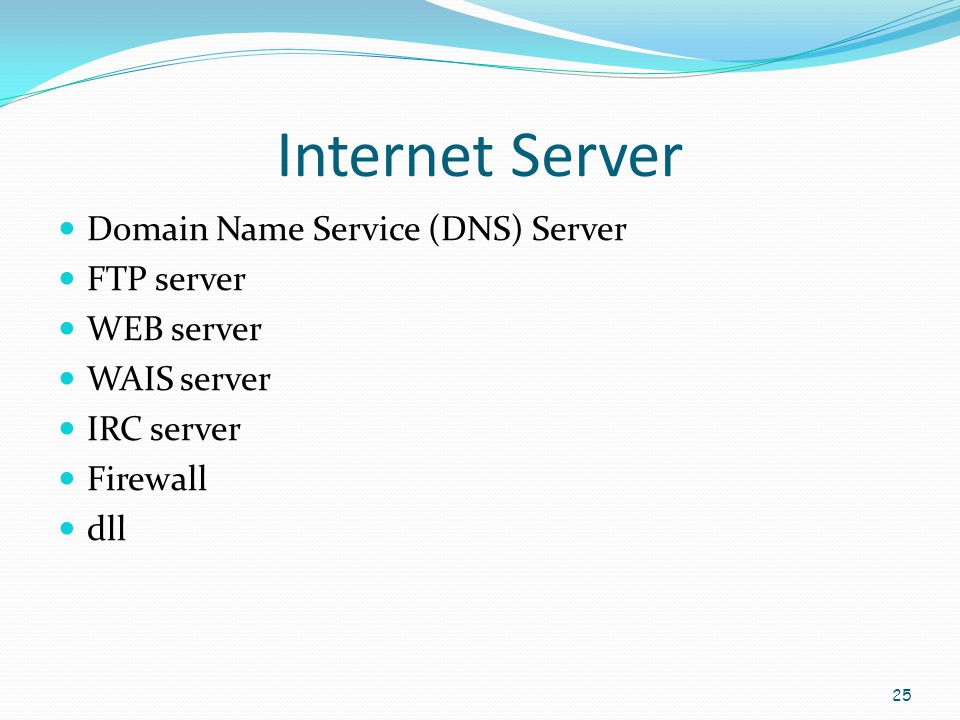 Internet Server Domain Name Service (DNS) Server FTP server WEB server