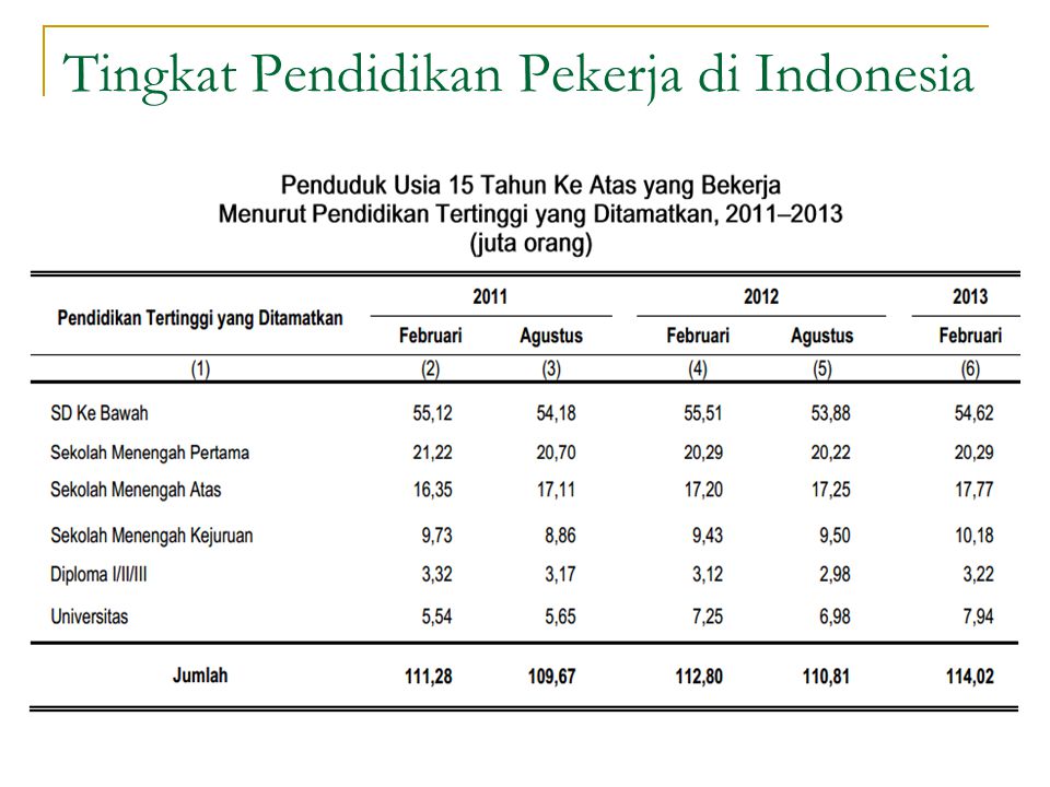 Tingkat Pendidikan Pekerja di Indonesia