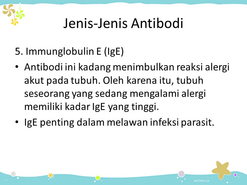 Jenis-Jenis Antibodi 5. Immunglobulin E (IgE)