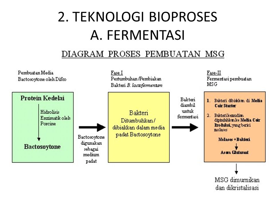 2. TEKNOLOGI BIOPROSES A. FERMENTASI