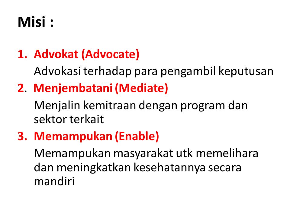 Misi : Advokat (Advocate) Advokasi terhadap para pengambil keputusan