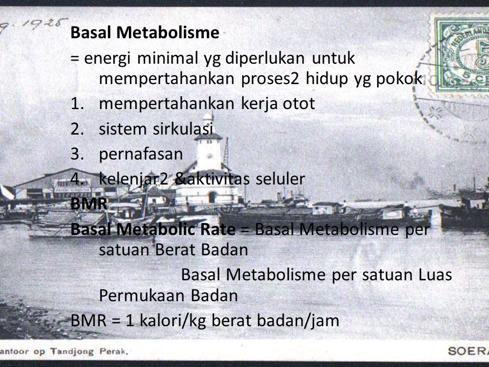 Basal Metabolisme = energi minimal yg diperlukan untuk mempertahankan proses2 hidup yg pokok. mempertahankan kerja otot.