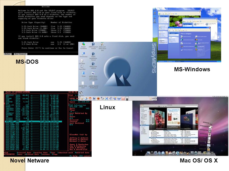 MS-DOS MS-Windows Linux Novel Netware Mac OS/ OS X