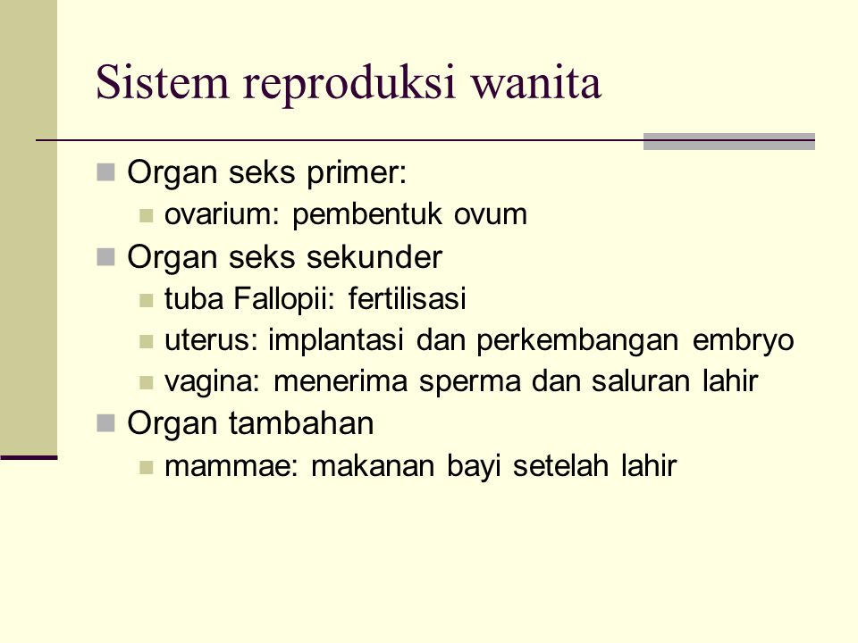 Sistem reproduksi wanita