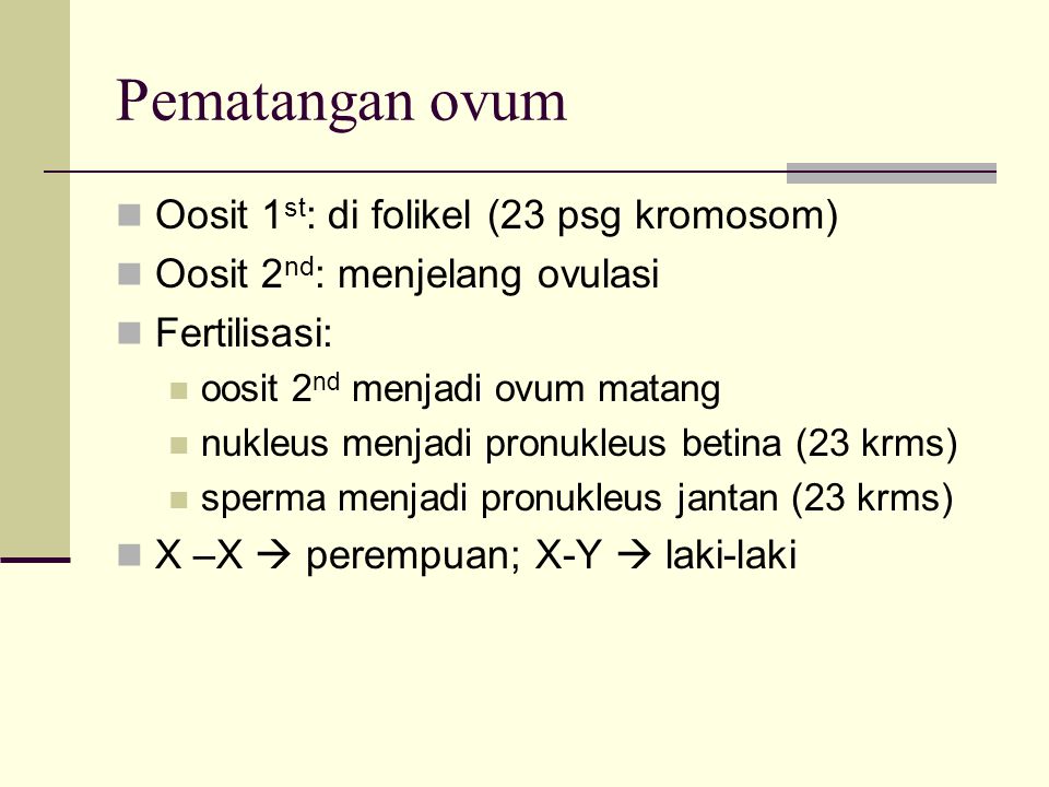 Pematangan ovum Oosit 1st: di folikel (23 psg kromosom)
