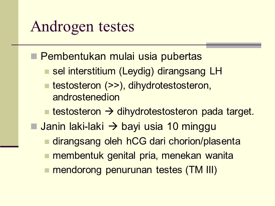 Androgen testes Pembentukan mulai usia pubertas