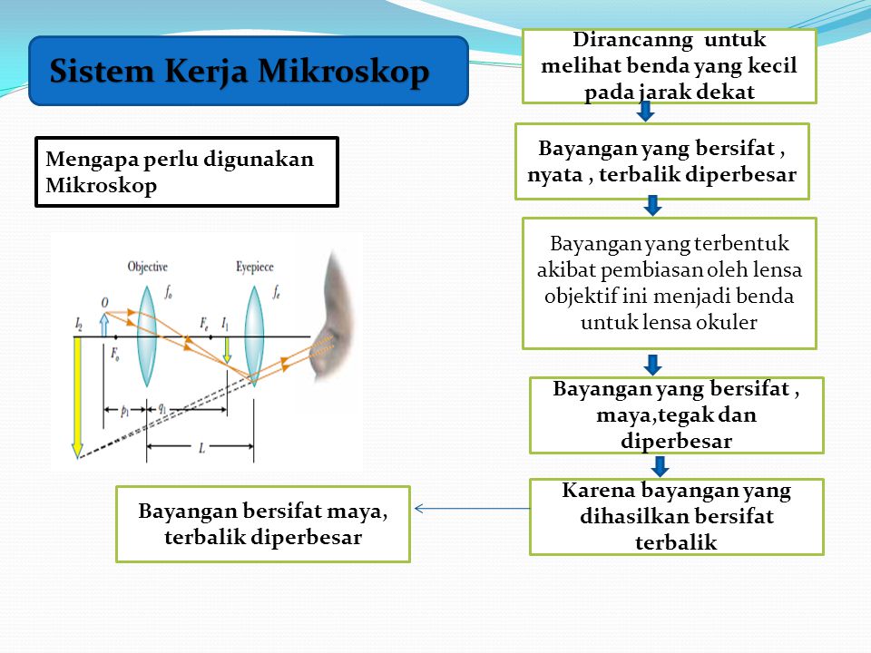Sistem Kerja Mikroskop