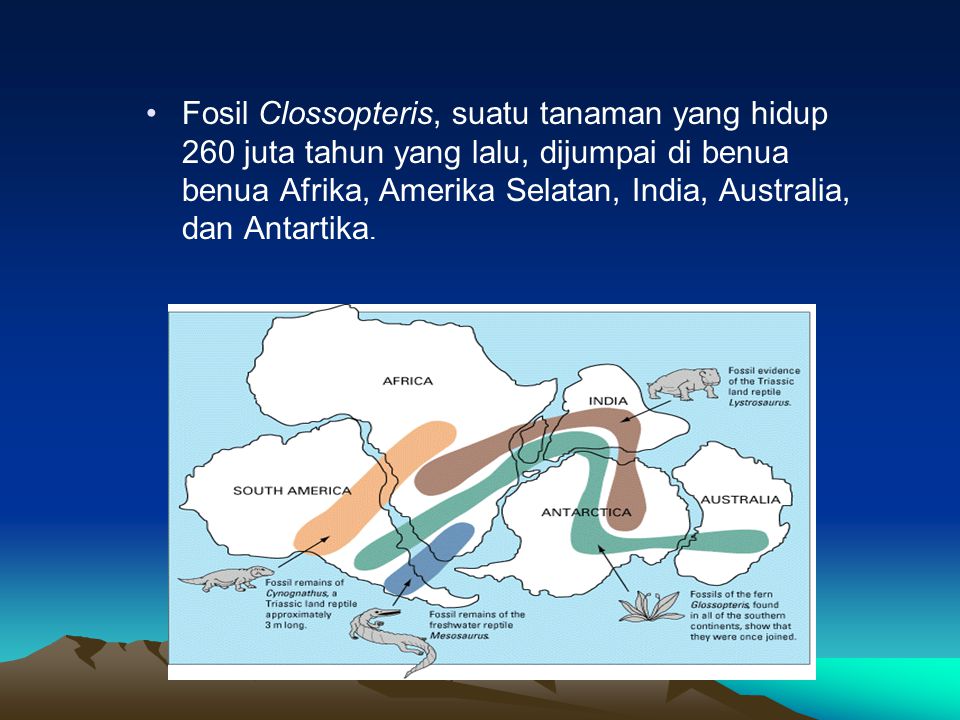 Fosil Clossopteris, suatu tanaman yang hidup 260 juta tahun yang lalu, dijumpai di benua benua Afrika, Amerika Selatan, India, Australia, dan Antartika.