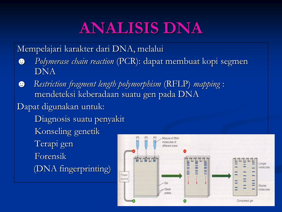 ANALISIS DNA Mempelajari karakter dari DNA, melalui