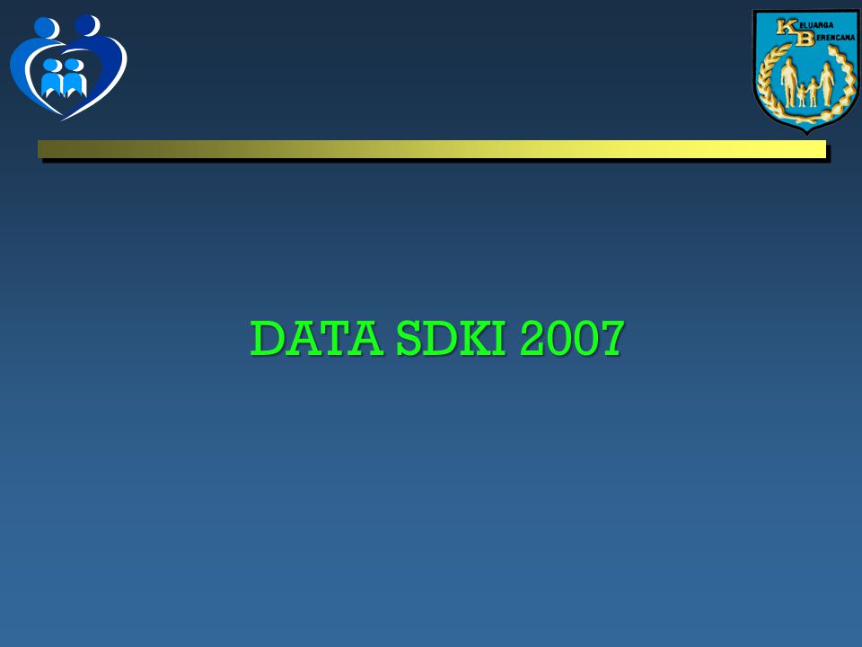 DATA SDKI 2007