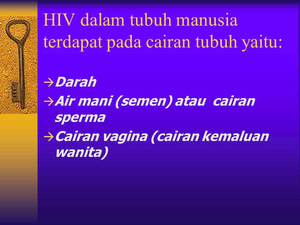 HIV dalam tubuh manusia terdapat pada cairan tubuh yaitu: