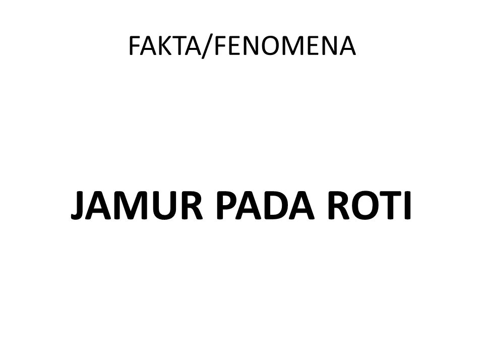 FAKTA/FENOMENA JAMUR PADA ROTI