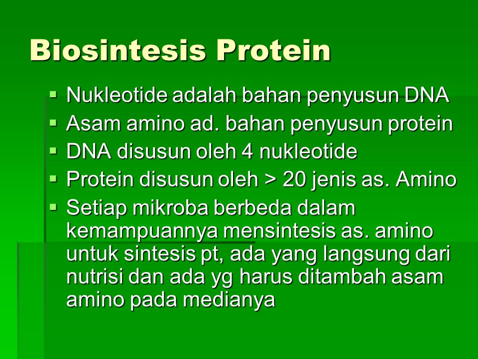 Biosintesis Protein Nukleotide adalah bahan penyusun DNA