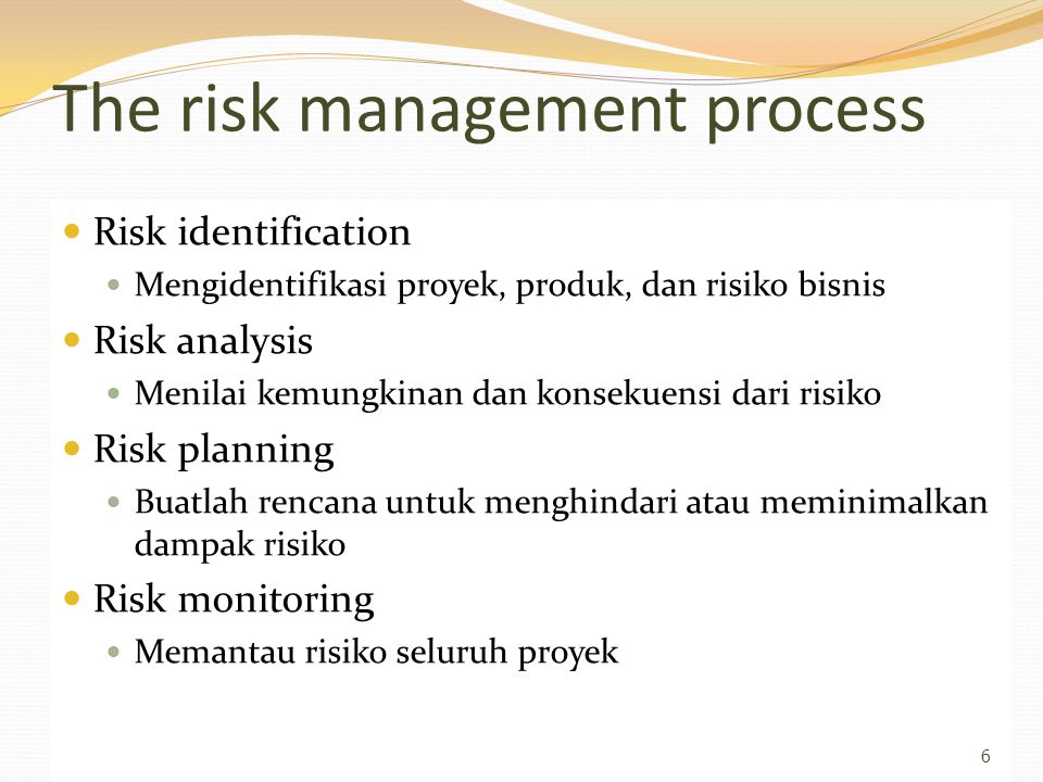 The risk management process