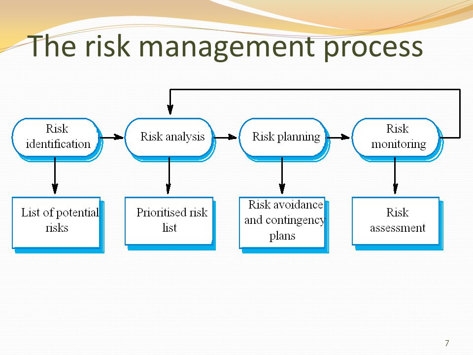 The risk management process