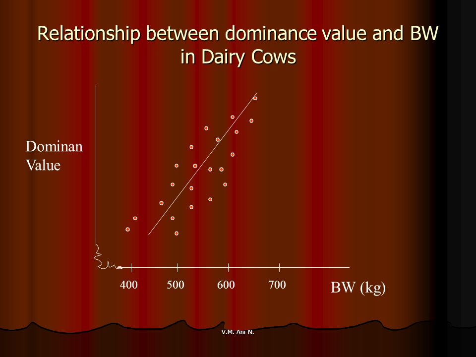 Relationship between dominance value and BW in Dairy Cows
