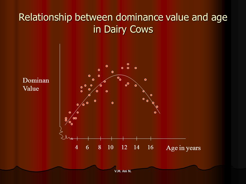 Relationship between dominance value and age in Dairy Cows