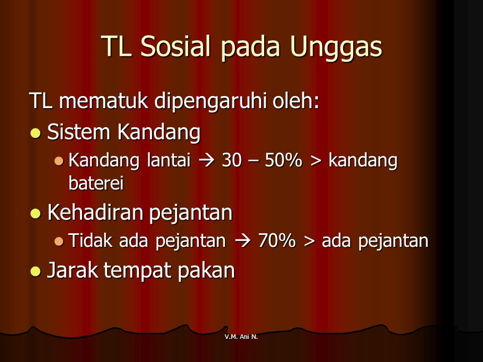 TL Sosial pada Unggas TL mematuk dipengaruhi oleh: Sistem Kandang