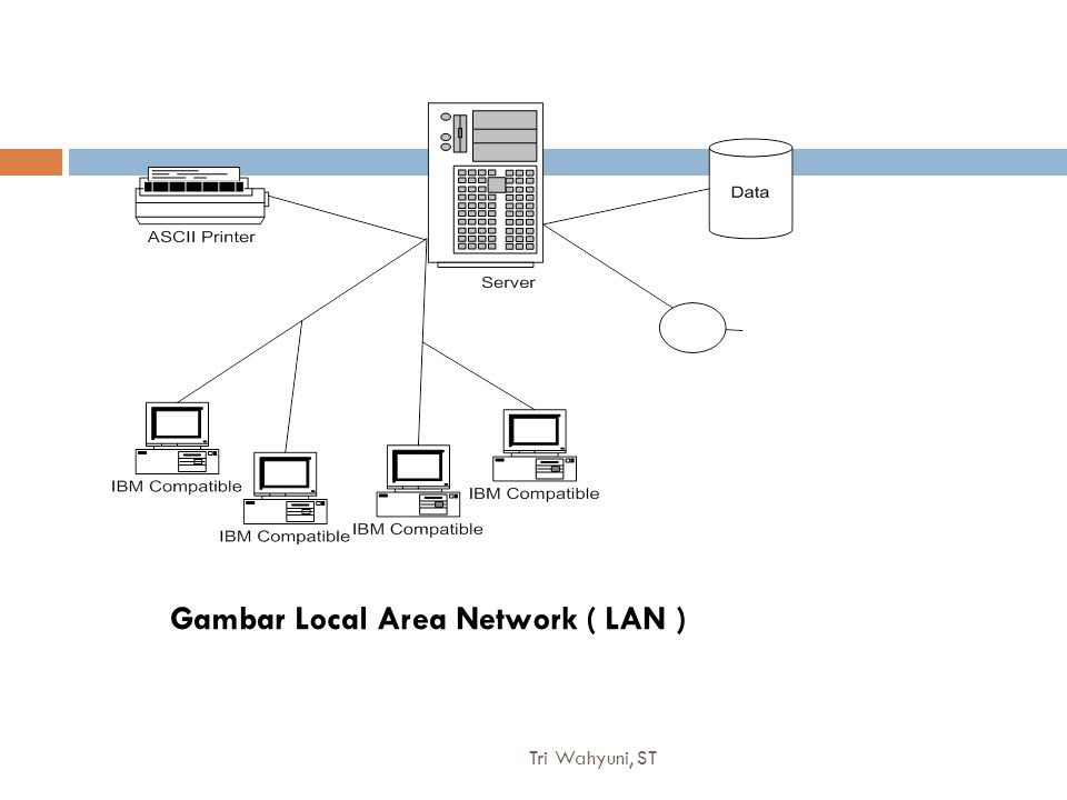 Gambar Local Area Network ( LAN )