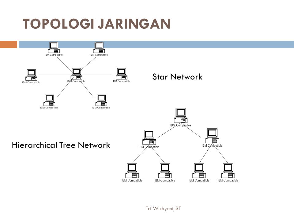 TOPOLOGI JARINGAN Star Network Hierarchical Tree Network
