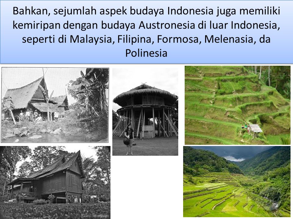 Bahkan, sejumlah aspek budaya Indonesia juga memiliki kemiripan dengan budaya Austronesia di luar Indonesia, seperti di Malaysia, Filipina, Formosa, Melenasia, da Polinesia