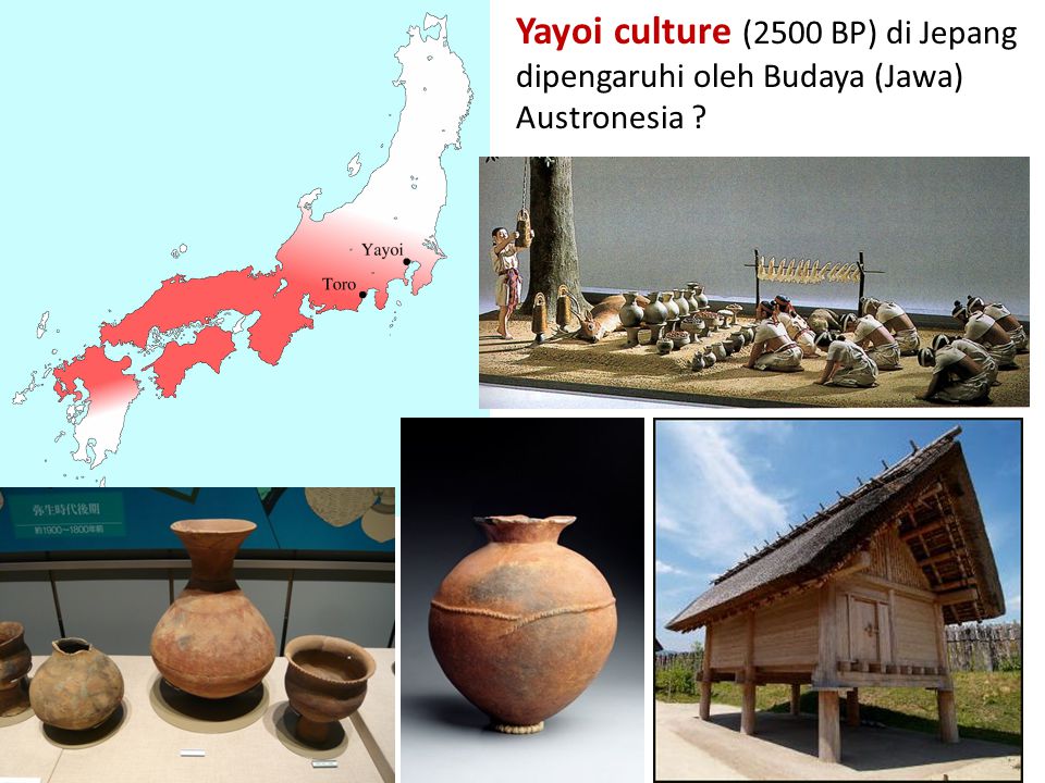 Yayoi culture (2500 BP) di Jepang dipengaruhi oleh Budaya (Jawa) Austronesia