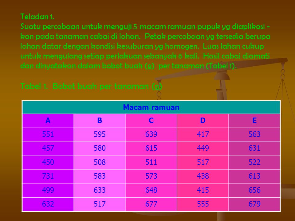 Tabel 1. Bobot buah per tanaman (g)