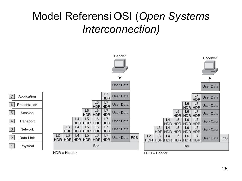 Model Referensi OSI (Open Systems Interconnection)
