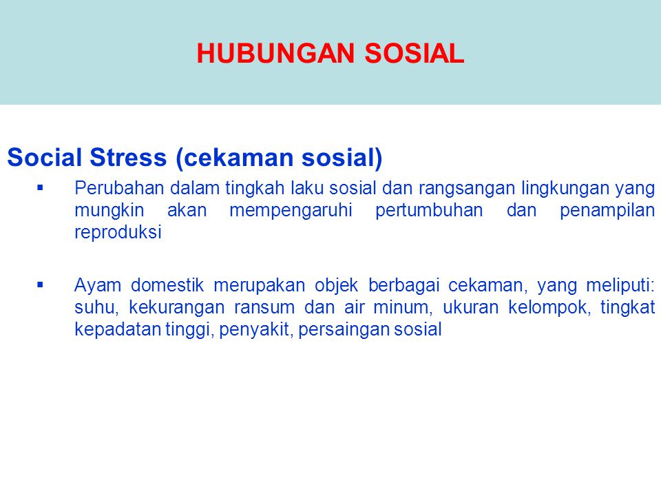 HUBUNGAN SOSIAL Social Stress (cekaman sosial)