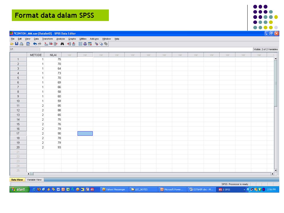 Format data dalam SPSS