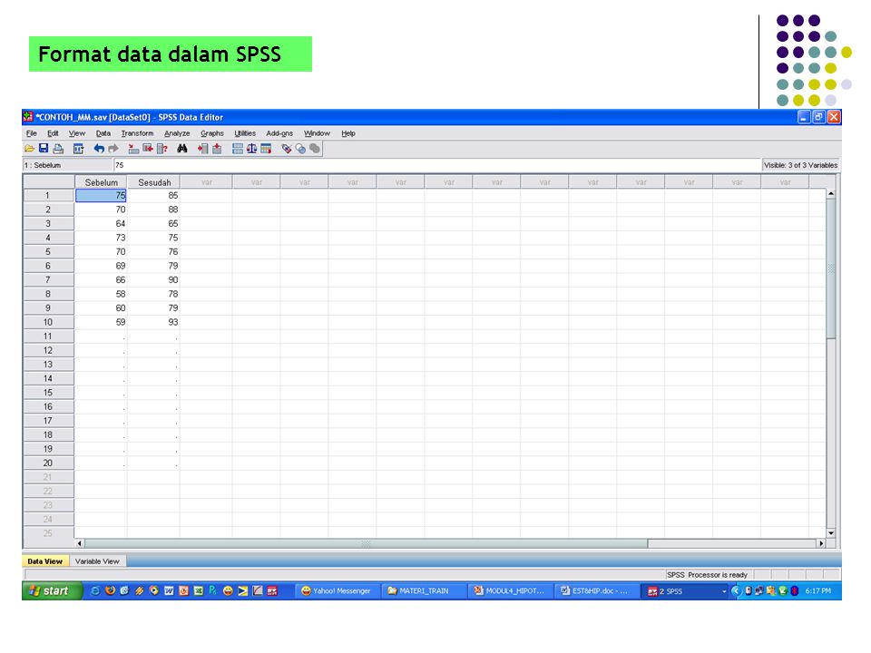 Format data dalam SPSS