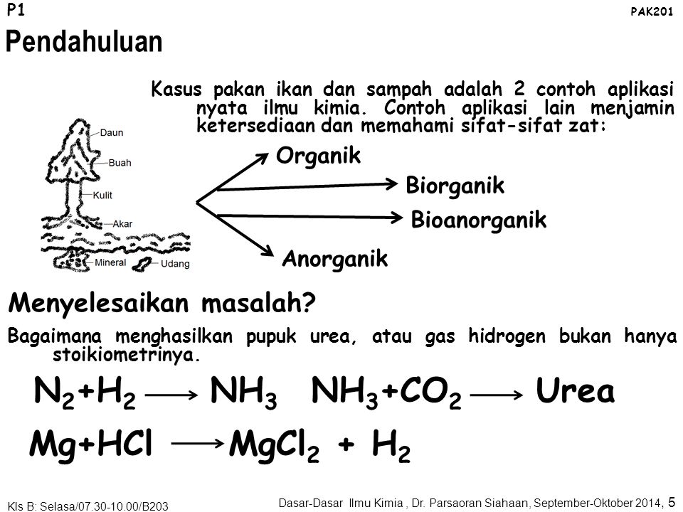 N2+H2 NH3 NH3+CO2 Urea Mg+HCl MgCl2 + H2 Pendahuluan