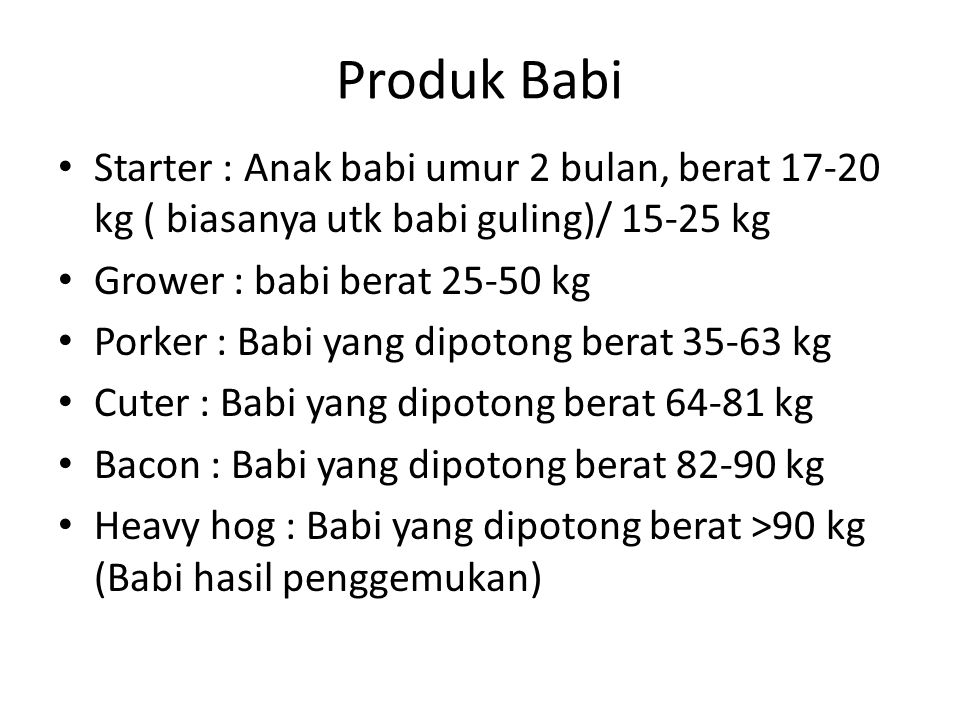 Produk Babi Starter : Anak babi umur 2 bulan, berat kg ( biasanya utk babi guling)/ kg.