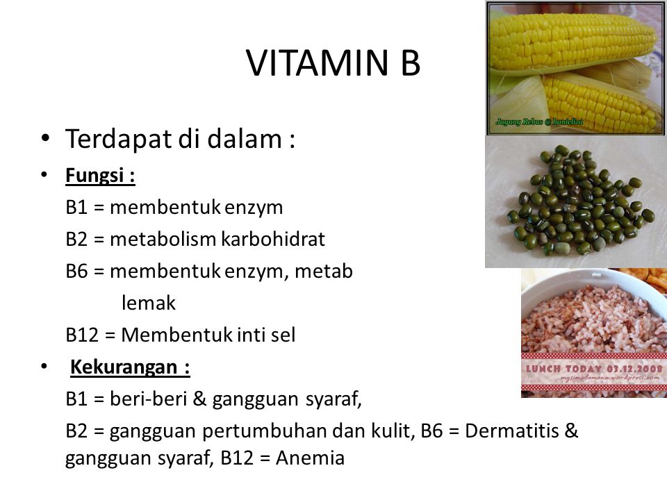 VITAMIN B Terdapat di dalam : Fungsi : B1 = membentuk enzym