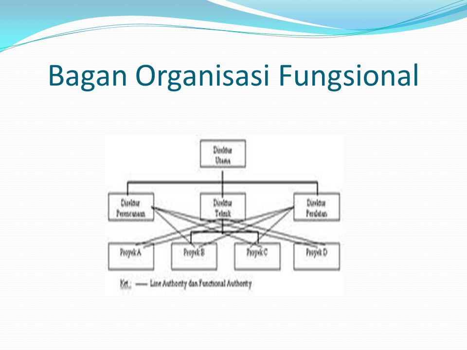 Bagan Organisasi Fungsional