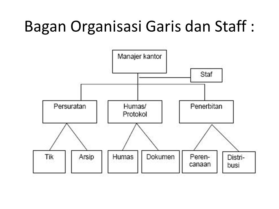 Bagan Organisasi Garis dan Staff :