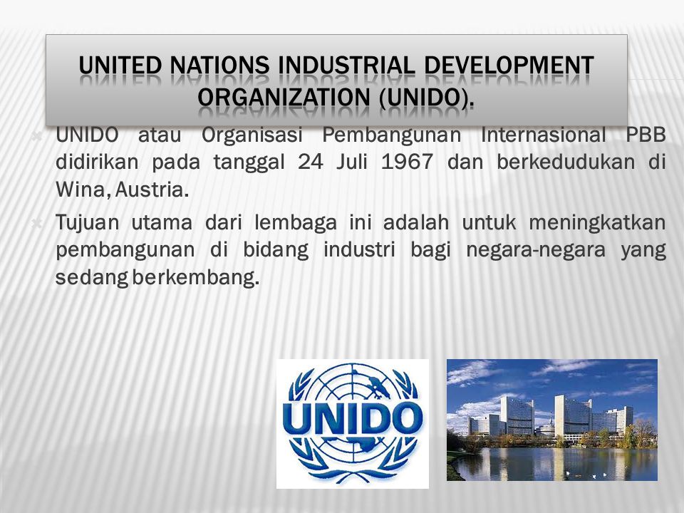 United Nations Industrial Development Organization (UNIDO).