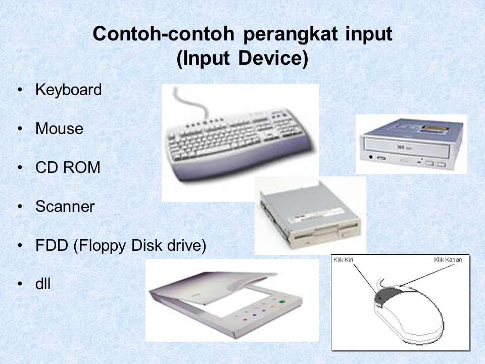 Contoh-contoh perangkat input (Input Device)