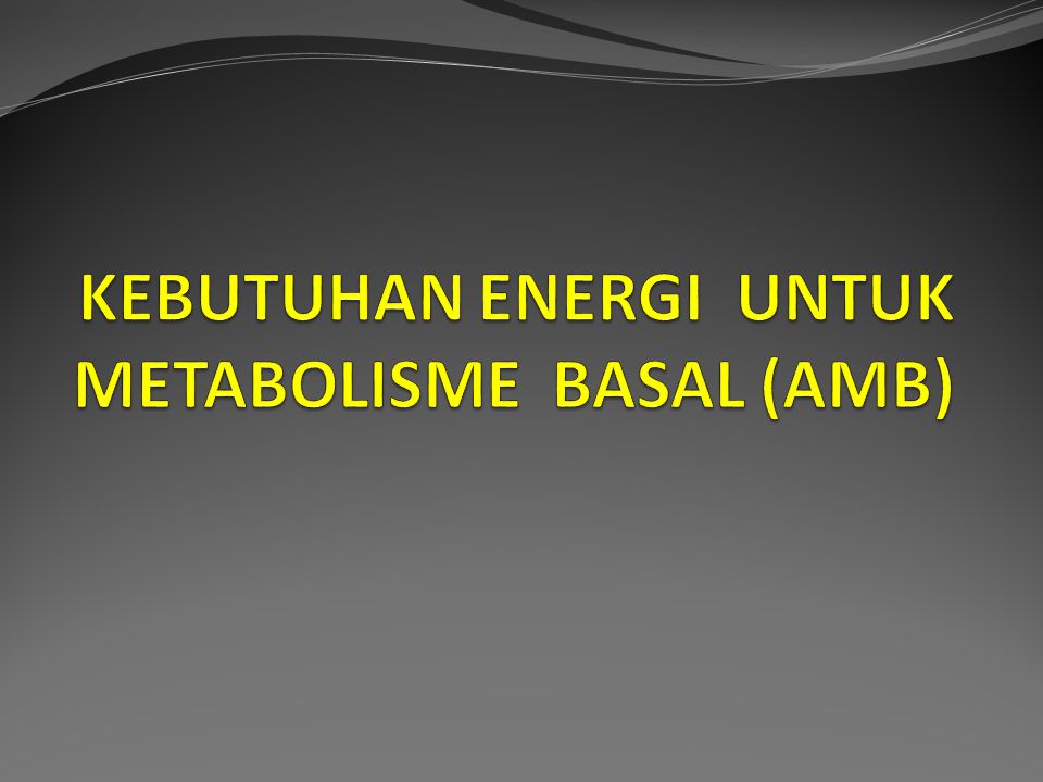 KEBUTUHAN ENERGI UNTUK METABOLISME BASAL (AMB)