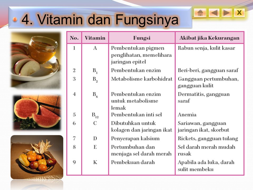 4. Vitamin dan Fungsinya X