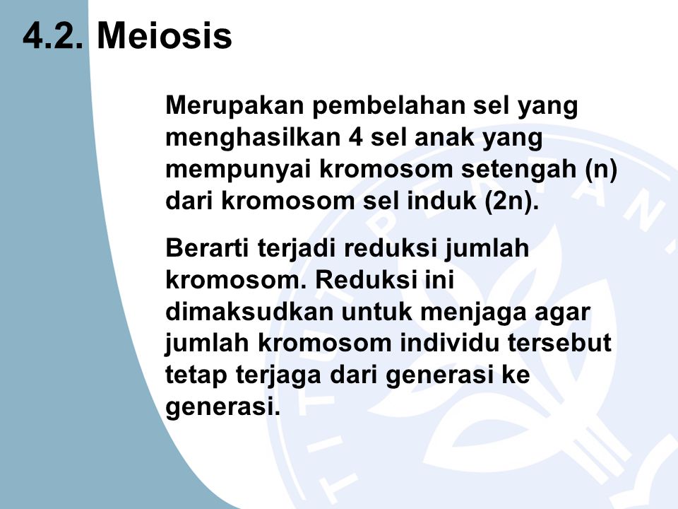 4.2. Meiosis Merupakan pembelahan sel yang menghasilkan 4 sel anak yang mempunyai kromosom setengah (n) dari kromosom sel induk (2n).