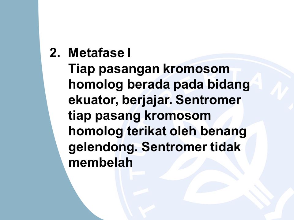 2. Metafase I Tiap pasangan kromosom homolog berada pada bidang ekuator, berjajar.