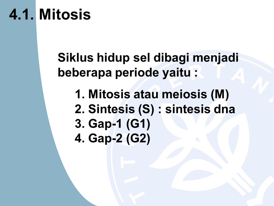 4.1. Mitosis Siklus hidup sel dibagi menjadi beberapa periode yaitu :
